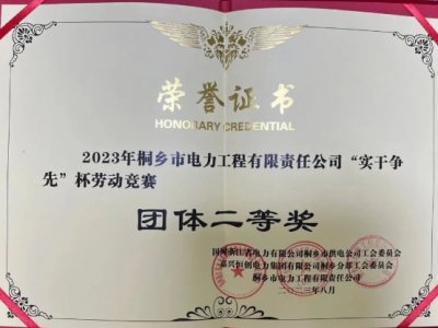 喜報(bào)-我司榮獲2023年“實(shí)干爭先”杯配網(wǎng)工程技能競賽團(tuán)體二等獎